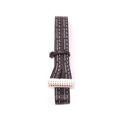 Entour Venue - 11Pin Ribbon Cable  Z-VENUE-RC